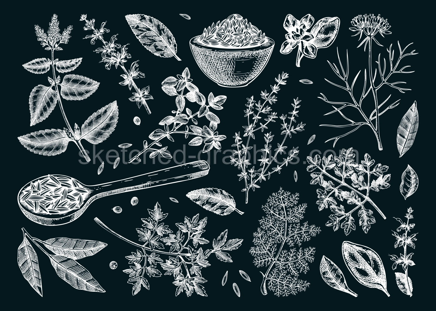 Middle Eastern cuisine herb and spice sketches set on chalkboard. Parsley, thyme, cumin, laurel, mint, sage, cilantro drawing. Kitchen spices hand-drawn vector illustration. NOT AI genereted Illustration